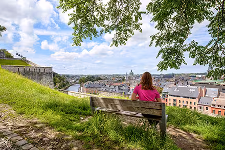 Vue sur la corbeille namuroise depuis la Citadelle de Namur, photo Vincent Ferooz